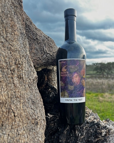 JCA Why Alicante Bouschet Tinto 2022